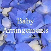 Baby Arrangements