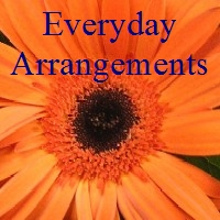 Everyday Arrangements